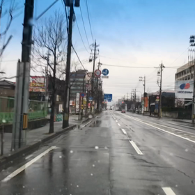 1/20一日中雨ですの画像