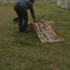 今回は‥‥の画像