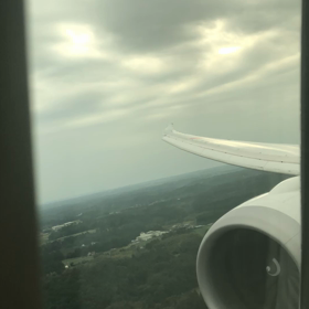 帰国後直ぐにの画像