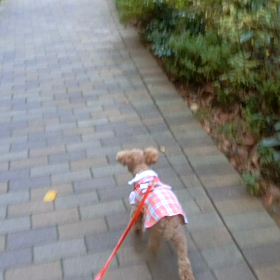 誠に遺憾ながら休刊日の画像