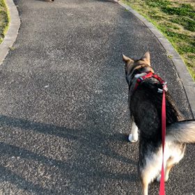 古都の遊び方の画像