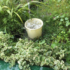 台風が去ったのに急に大雨とかやめてほしいの画像