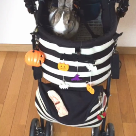 ハロウィン仕様♡の画像