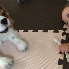 すぅさん♡の画像