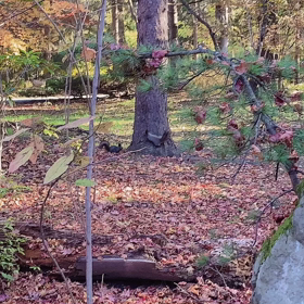 ドライブの画像