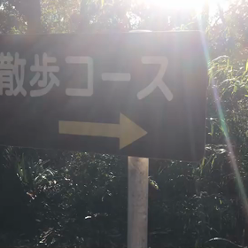 ♪お散歩動画♪砧公園♪の画像