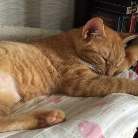 おてての場所(*´꒳`*)の画像