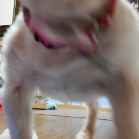 ひとり遊び♪の画像