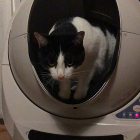 惜しい！の画像