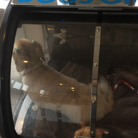 ⬛️6/7〜6/13＊酸素カプセルご利用のお友達⬛️2の画像