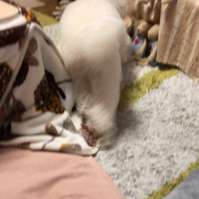 3月7日  日常の画像