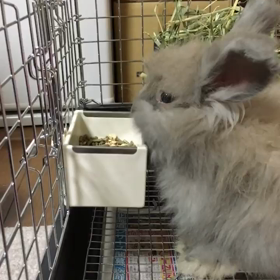 いっぱい食べる君が好き〜の画像