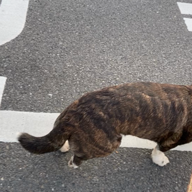 困りごとの画像