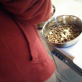 食いしん坊の画像