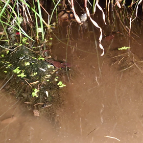 子供襲来の余波の画像