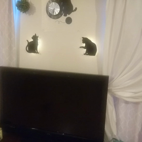 すべてはにゃんこの為にの画像