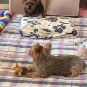 意地悪？の画像