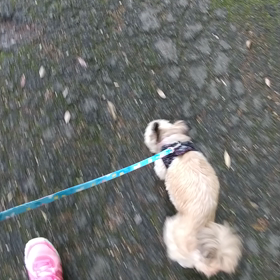 びぇーん。。・゜゜(ノД`)もう蚊にかまれたの画像