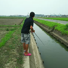 イケテるmovies♪の画像