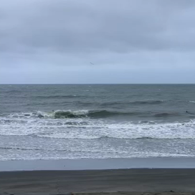 9月6日千葉北、東浪見の朝の波の画像