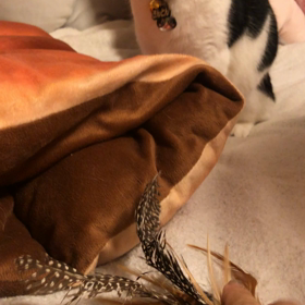 絶賛1人遊びの党首から学んだことの画像