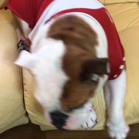 毎朝の光景の画像