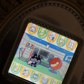 たまごっち経過の画像