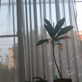 久しぶりの休日の画像