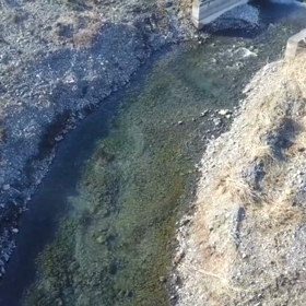 Mavic 多摩川河川敷の画像