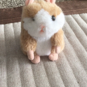 プレゼントの画像