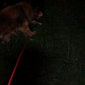 仲良しさんの画像