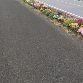 本日の呟き (476) 追記編の画像