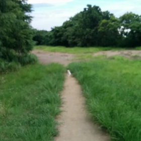 見つめていたいの画像