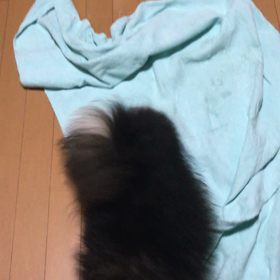 おったまげたよの画像