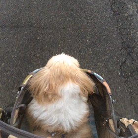 ☆ 鼻水ドゥーン！！！ ☆の画像