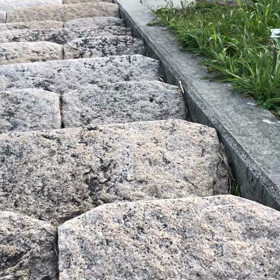 ダッシュ！の画像