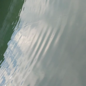 ４連ビッグベイトのスイム動画ですm(。-ω-。)mの画像