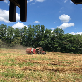 牧草ロールの画像