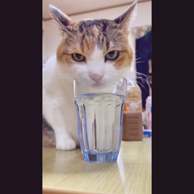 9月　Septemberの画像