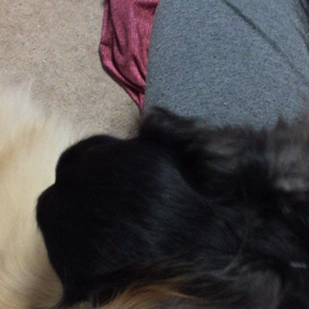 死守するのよ。の画像