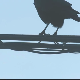 すぎぴたんの事件簿　シーズン２　１１６話の画像