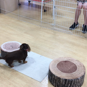 はくびだもん。の画像