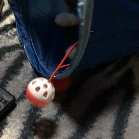 壊さないでぇ〜❤️の画像