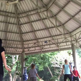 タオガーデン     朝、夜のエクササイズに参加の画像