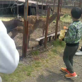 自然の中だからって、出歩きすぎな気もしますの画像