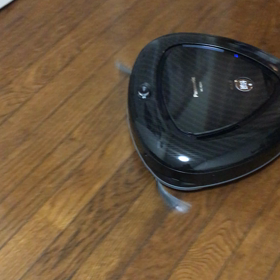 我が家に迎えたルーロちゃんの画像