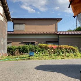 ラッシュ君　散歩3日目の画像