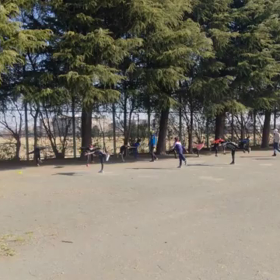 4月2日 バランス③の画像