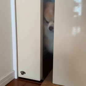 こだわ  りの画像