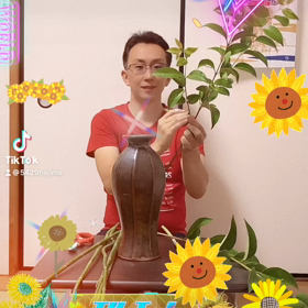 tiktokでミスチルhimawari⁉️の画像